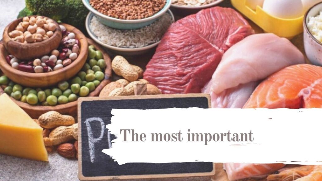 Vegan protein: what are the best products of 2020?