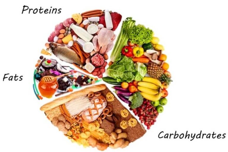 Foods High In Protein Carbs And Fiber at Christiana Shepherd blog