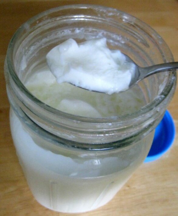 homemade yogurt sauce