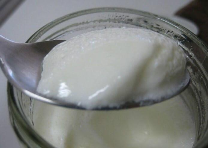 homemade yogurt sauce