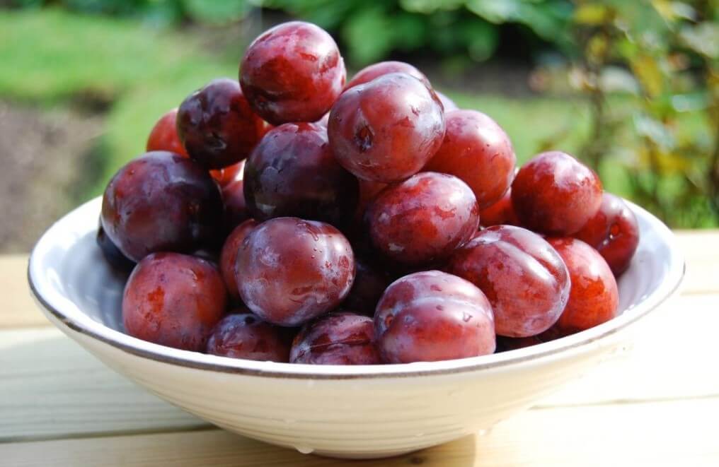 fruits with stones