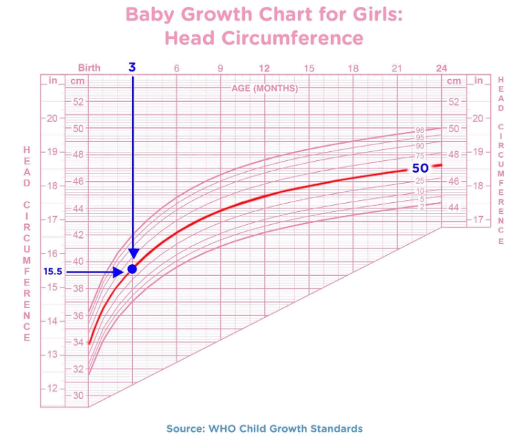 Percentiles: is my baby growing well? - world of recipes