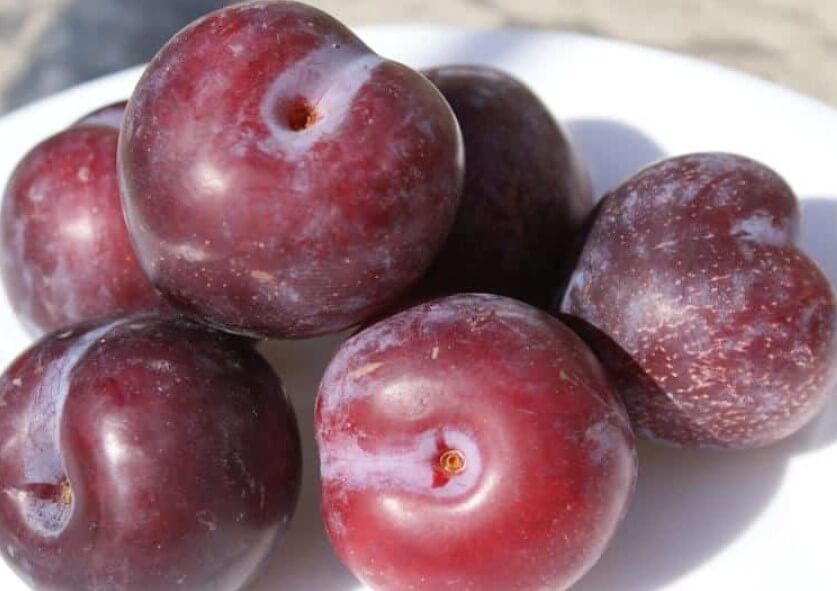 types of plums